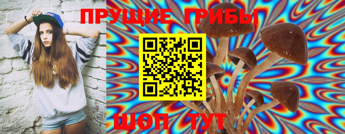 Псилоцибиновые грибы Psilocybine cubensis Тихвин